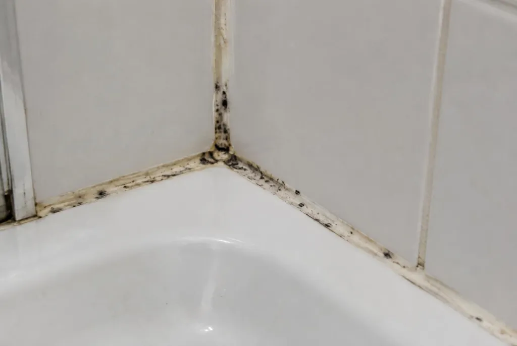 Kitbedrijf Zwijndrecht – beschimmelde kitranden